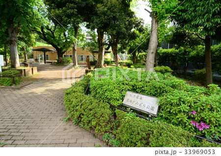 杉並区立 高井戸みどり公園 杉並区立 高井戸みどり公園 33969053