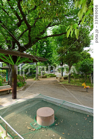 杉並区立 高井戸みどり公園 杉並区立 高井戸みどり公園 33969066