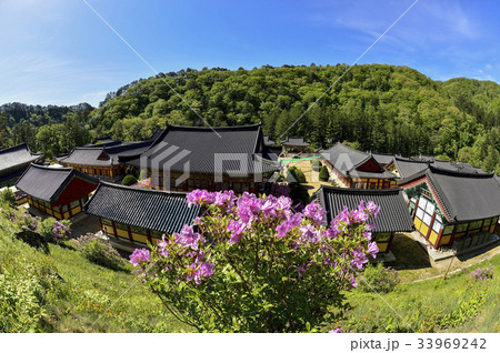 江原道 五台山 月精寺 33969242