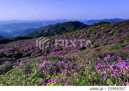 慶南 韓国 陜川郡 33969307