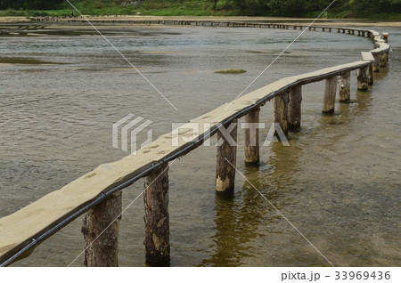 ネソンチョン 橋 一本橋 33969436