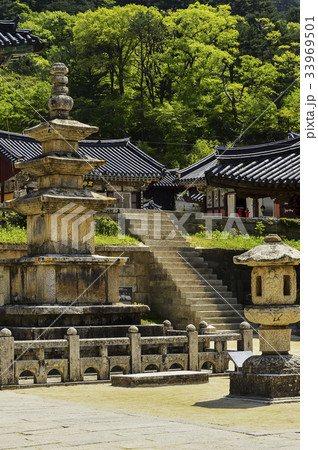 階段 丁寧トップ 韓国 33969501