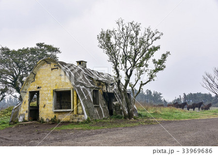 性イシドル牧場 済州島 テシフォン 33969686