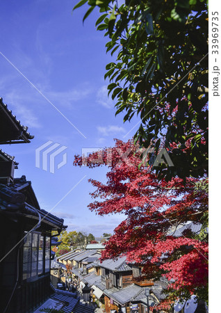 京都 紅葉 アジア 33969735