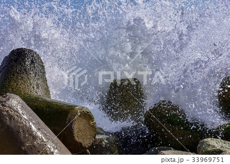 慶北 防波堤 激写 33969751