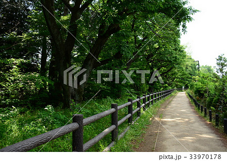 玉川上水沿いの遊歩道　高井戸〜富士見ヶ丘付近 33970178