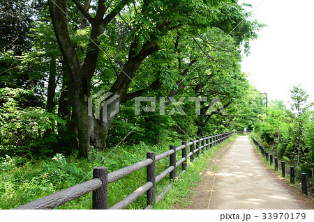玉川上水沿いの遊歩道　高井戸〜富士見ヶ丘付近 33970179