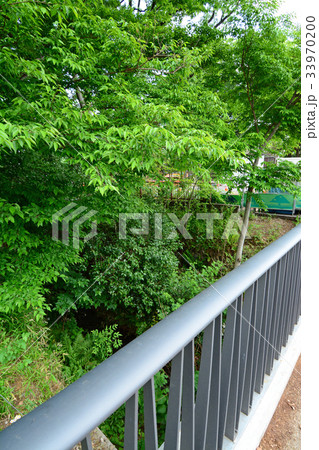 玉川上水沿いの遊歩道　高井戸〜富士見ヶ丘付近 33970200