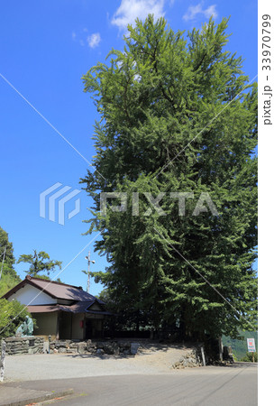 杖杉庵(衛門三郎終焉の地、四国霊場第12番札所焼山寺近くの番外札所) 杖杉庵(衛門三郎終焉の地、四国霊場第12番札所焼山寺近くの番外札所) 33970799