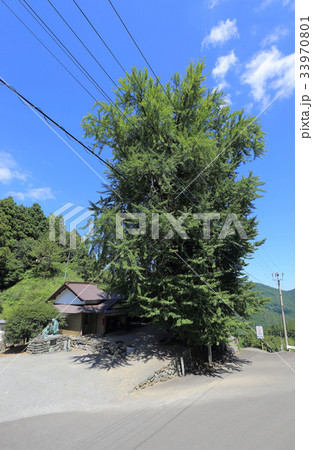 杖杉庵(衛門三郎終焉の地、四国霊場第12番札所焼山寺近くの番外札所) 杖杉庵(衛門三郎終焉の地、四国霊場第12番札所焼山寺近くの番外札所) 33970801
