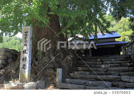杖杉庵(衛門三郎終焉の地、四国霊場第12番札所焼山寺近くの番外札所) 杖杉庵(衛門三郎終焉の地、四国霊場第12番札所焼山寺近くの番外札所) 33970803