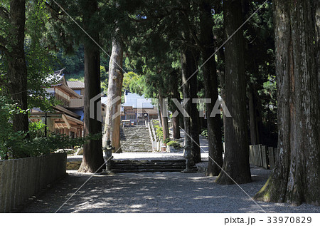 四国霊場第12番札所「焼山寺」参道から本堂を望む 33970829