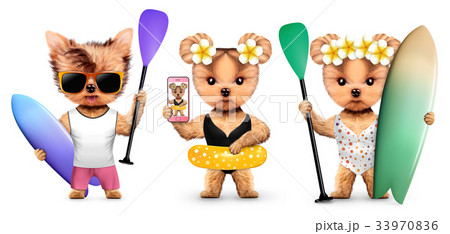 Animal wearing t-shirt and hold surf and paddle 33970836