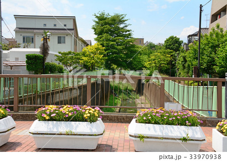 月見橋　神田川　富士見ヶ丘付近 33970938