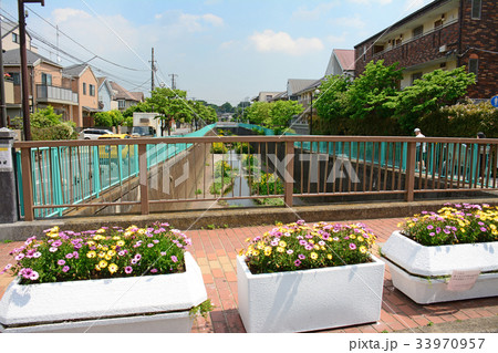 月見橋　神田川　富士見ヶ丘付近 33970957