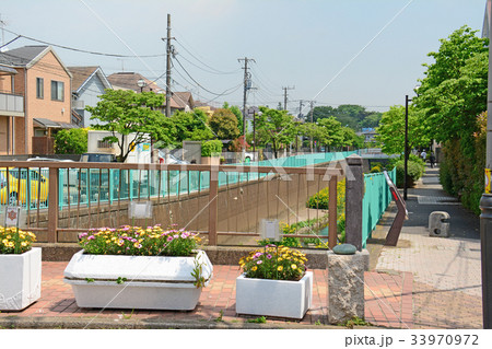 月見橋　神田川　富士見ヶ丘付近 33970972