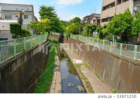 神田川沿いの遊歩道　高井戸〜富士見ヶ丘付近 33971250