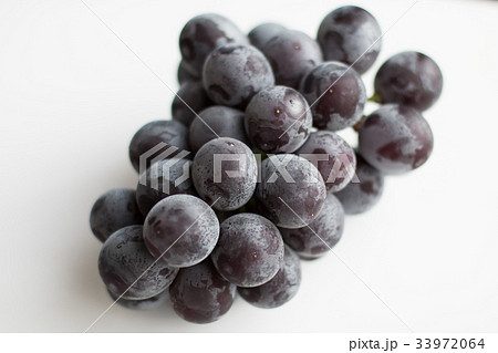 葡萄藤稔 33972064