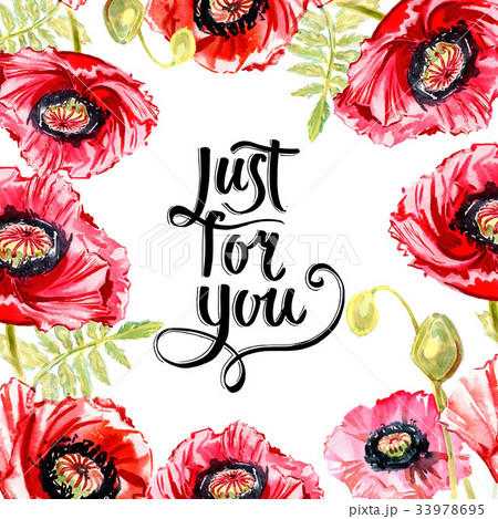 Wildflower poppy flower frame in a watercolor 33978695