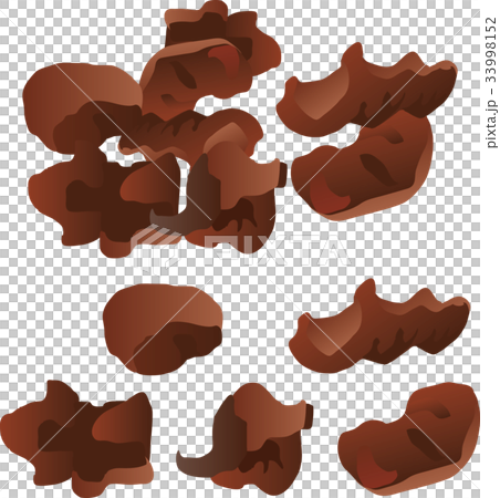 キクラゲ 33998152