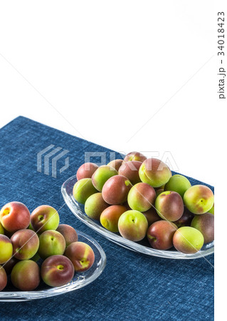 小梅 パープルクィーン 小梅 パープルクィーン 34018423