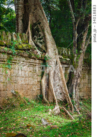 Preah Khan temple, Angkor area, Siem Reap Cambodia 34018883