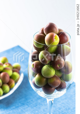 小梅　パープルクィーン 34021662