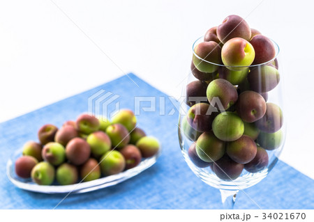 小梅　パープルクィーン 34021670