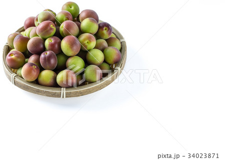 小梅 パープルクィーン 小梅 パープルクィーン 34023871