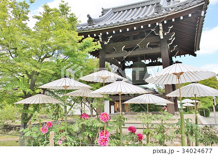 乙訓寺 乙訓寺 34024677