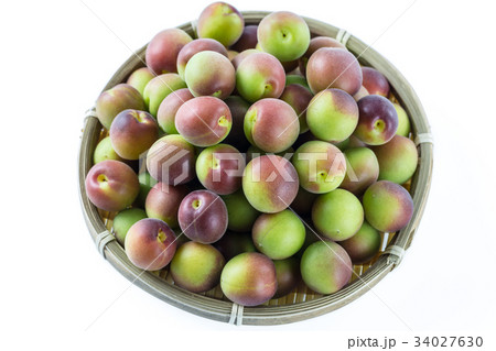 小梅　パープルクィーン 34027630