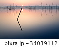 印旛沼の朝 印旛沼の朝 34039112
