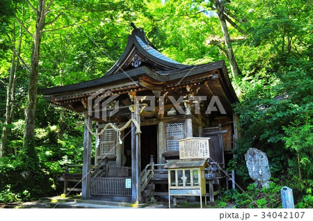 長野県　戸隠神社境内の九頭龍社と深緑 34042107