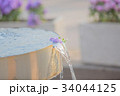 花と水 花と水 34044125