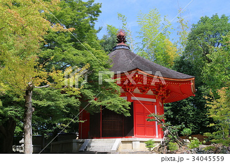 東福寺　愛染堂 34045559