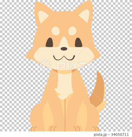 おすわりする犬 柴犬 のイラスト素材