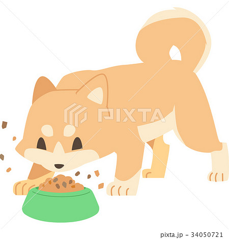 餌を食べる犬 柴犬 のイラスト素材 34050721 Pixta