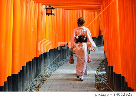 千本鳥居と着物の女性 千本鳥居と着物の女性 34052925