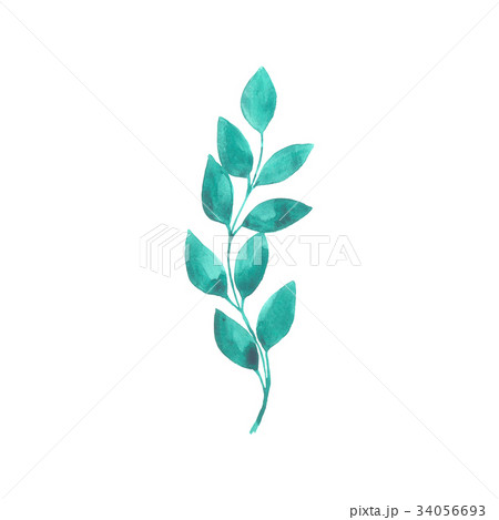 Bright watercolor leaf isolated on white 34056693