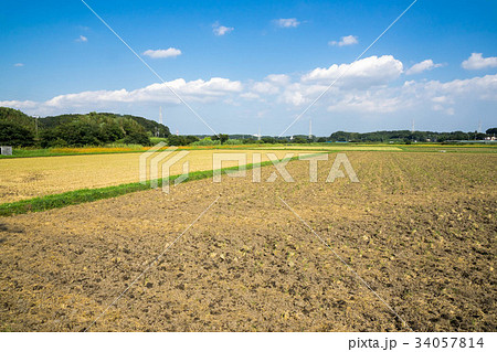 田園風景 田園風景 34057814