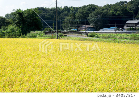 田園風景 田園風景 34057817