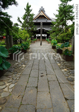 信濃国分寺(本堂) 信濃国分寺(本堂) 34062662