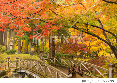 旧岩船氏庭園 / 香雪園(北海道函館市) 旧岩船氏庭園 / 香雪園(北海道函館市) 34072799