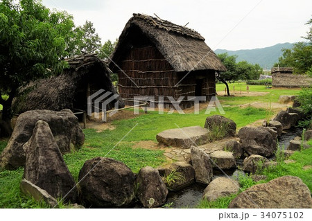 科野の里歴史公園(秋の屋代清水遺跡) 34075102