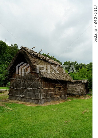 科野の里歴史公園(秋の屋代清水遺跡) 科野の里歴史公園(秋の屋代清水遺跡) 34075117