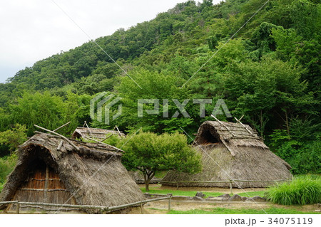 科野の里歴史公園(秋の屋代清水遺跡) 科野の里歴史公園(秋の屋代清水遺跡) 34075119