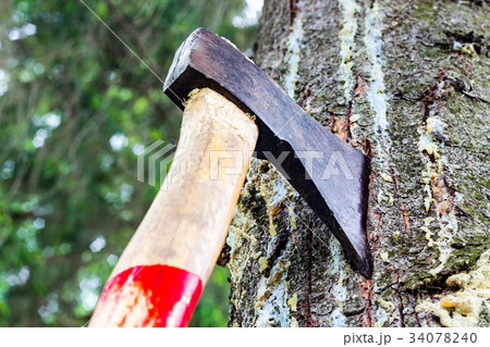 An ax is stuck in a tree in the forest An ax is stuck in a tree in the forest 34078240
