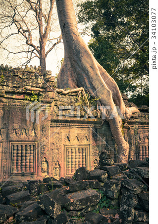 Preah Khan temple, Angkor area, Siem Reap,Cambodia 34103077