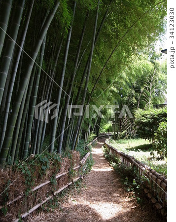 竹林公園 34123030