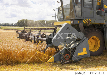 combine harvester working on a wheat field. combine harvester working on a wheat field. 34123194